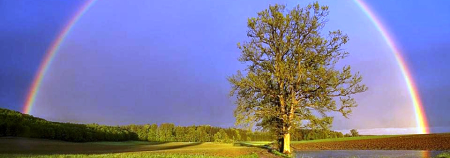 3fe94a002317b5f9259f82690aeea4cd.jpg