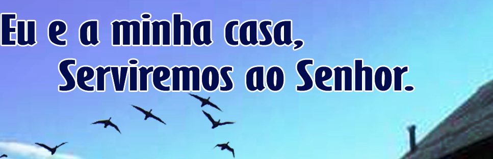54229abfcfa5649e7003b83dd4755294.png