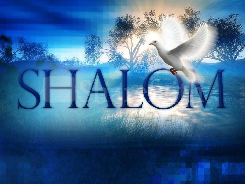 Shalom Adonai - Que haja paz Sobre ( Israel ) 🇮🇱 . 🇧🇷 #messias
